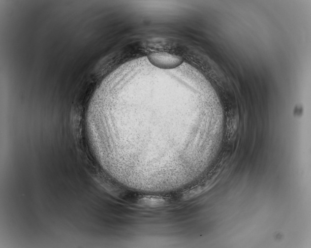 X0000102820749200809151015