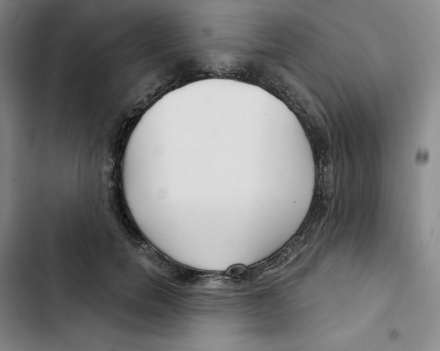 X0000102820750200809151015