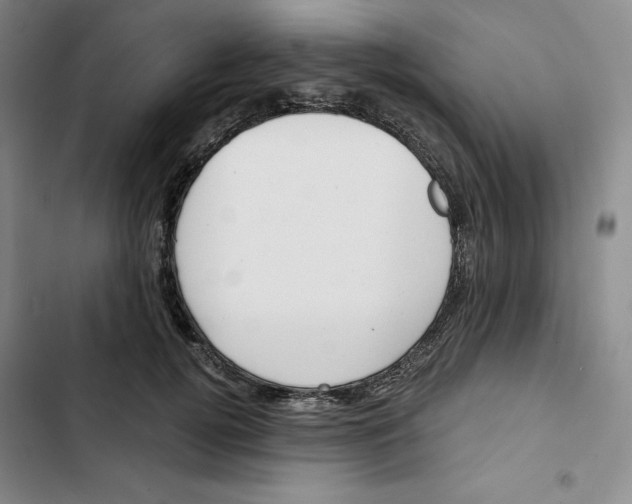 X0000102820752200809151015