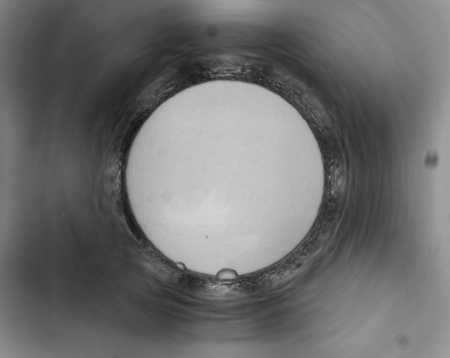 X0000102820753200809151015