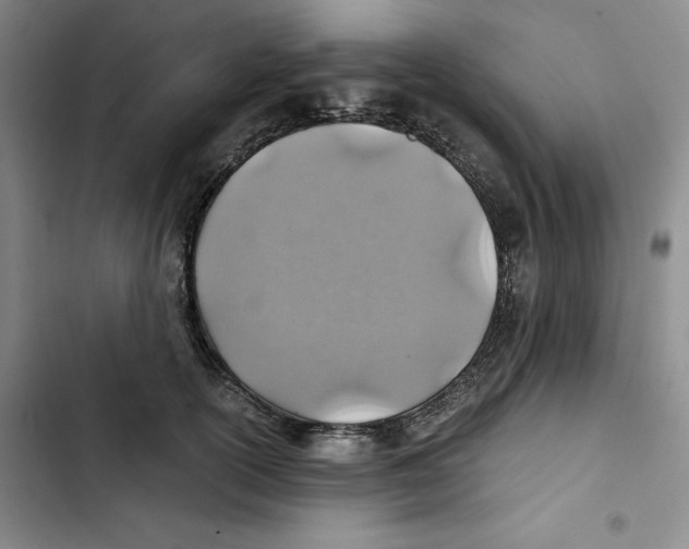 X0000102820754200809151015