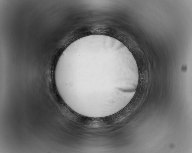 X0000102820755200809151015