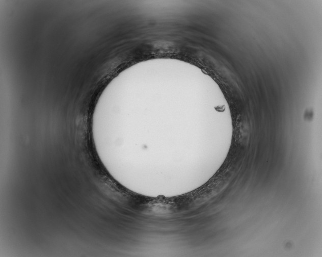 X0000102820756200809151015