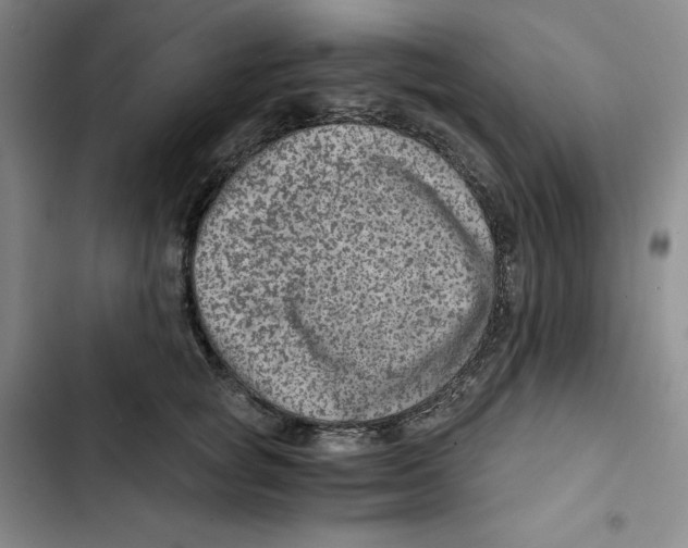 X0000102820757200809151015