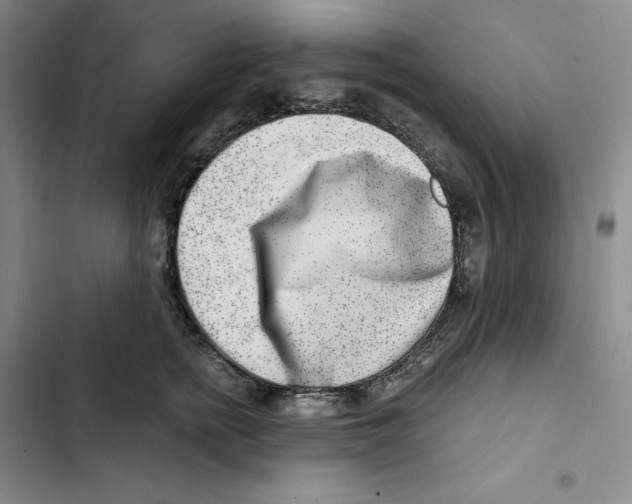 X0000102820758200809151015