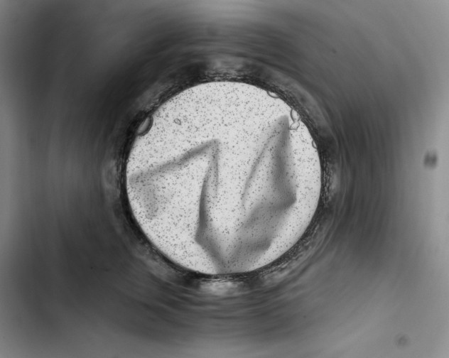 X0000102820759200809151015