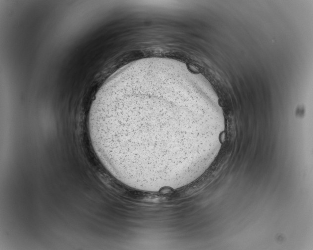 X0000102820760200809151015