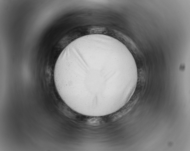 X0000102820761200809151015