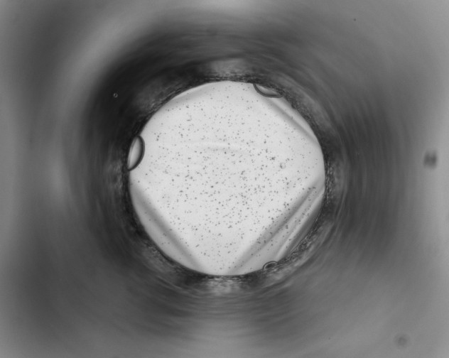 X0000102820762200809151015