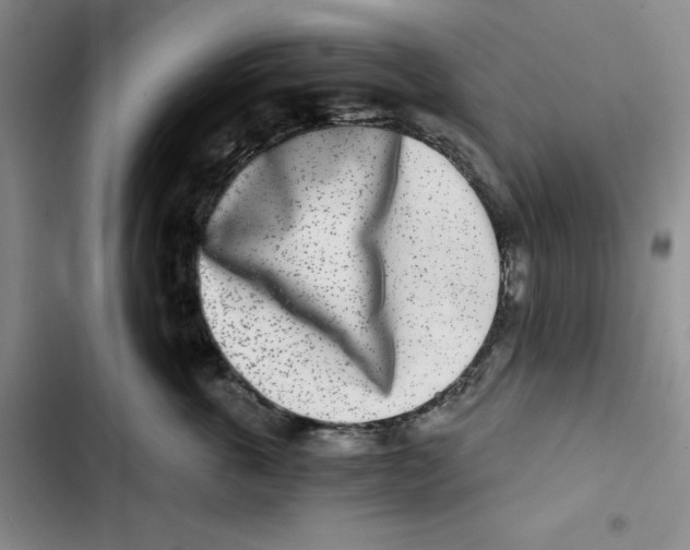 X0000102820763200809151015