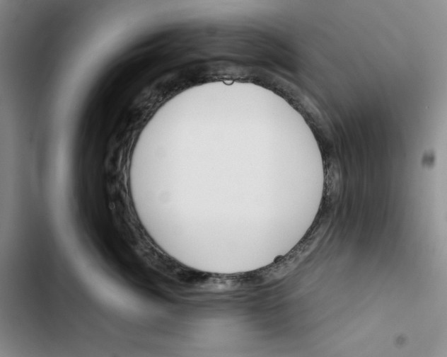 X0000102820764200809151015