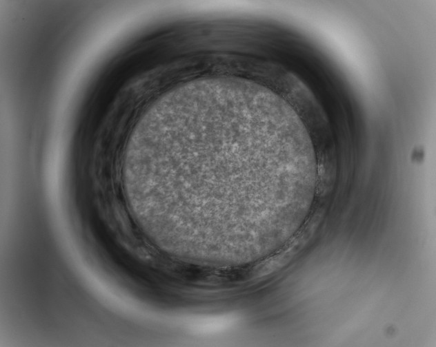 X0000102820765200809151015