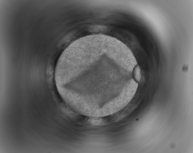 X0000102820767200809151015