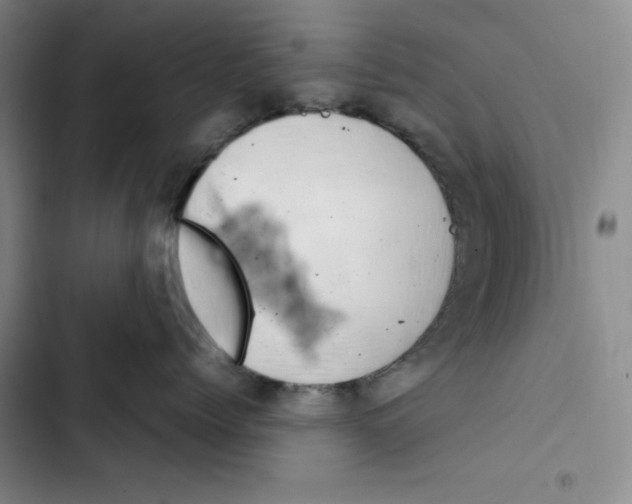 X0000102820768200809151015