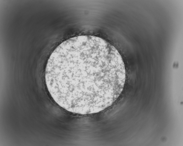 X0000102820769200809151014