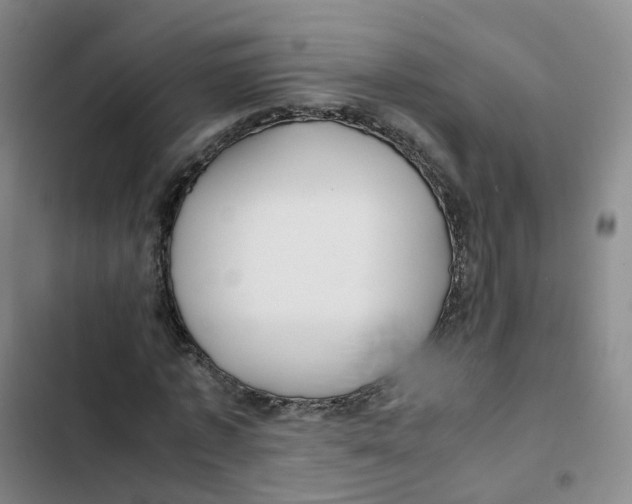 X0000102820773200809151014