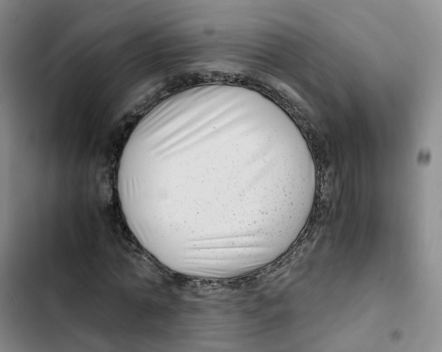 X0000102820774200809151014