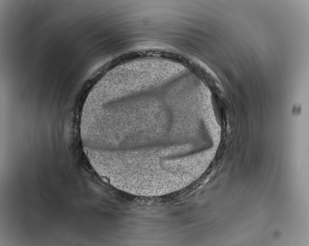 X0000102820775200809151014