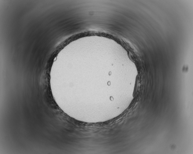 X0000102820776200809151014