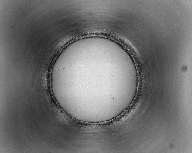 X0000102820777200809151014