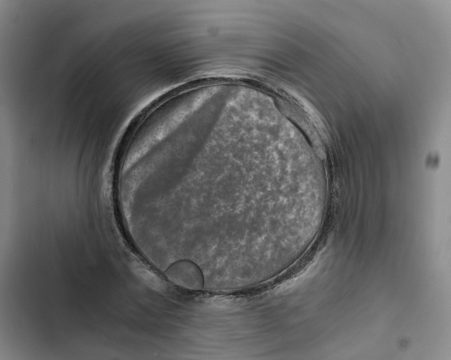 X0000102820779200809151014