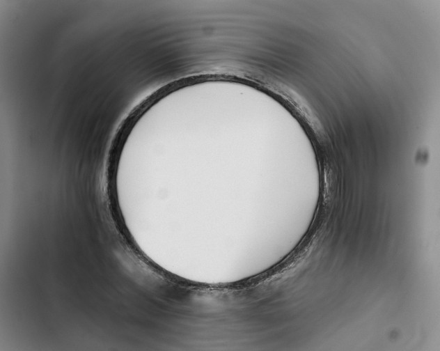 X0000102820780200809151014
