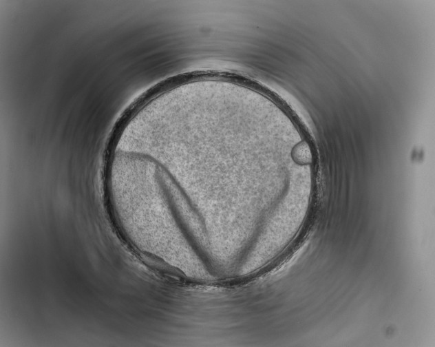 X0000102820783200809151014