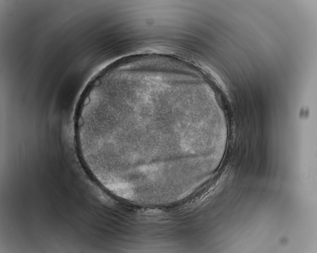 X0000102820784200809151014