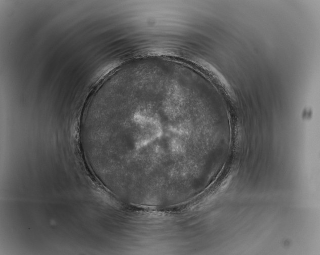 X0000102820785200809151014