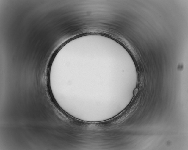 X0000102820787200809151014