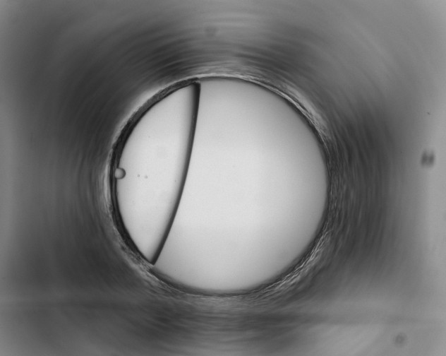 X0000102820788200809151014