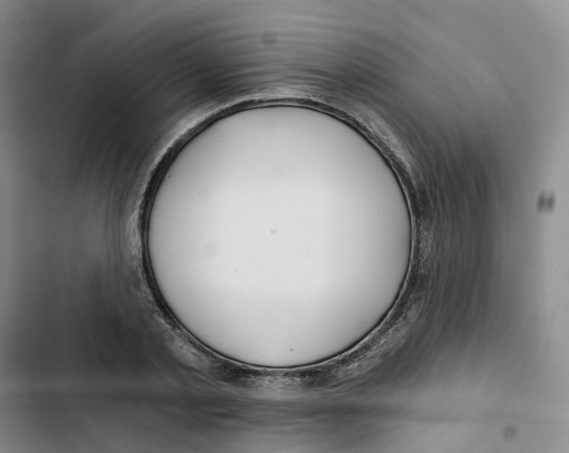 X0000102820789200809151014