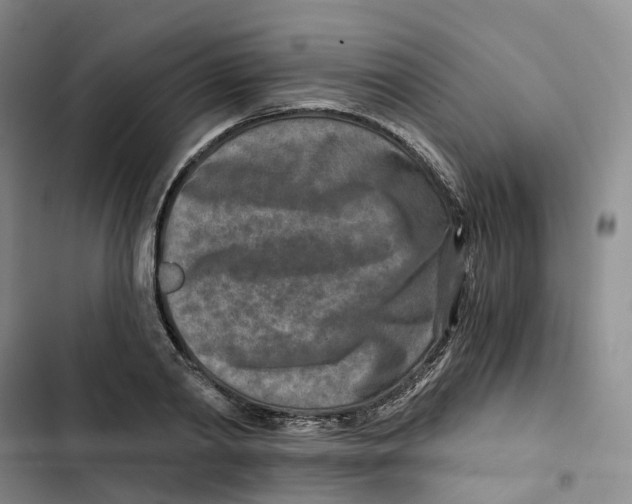X0000102820790200809151014