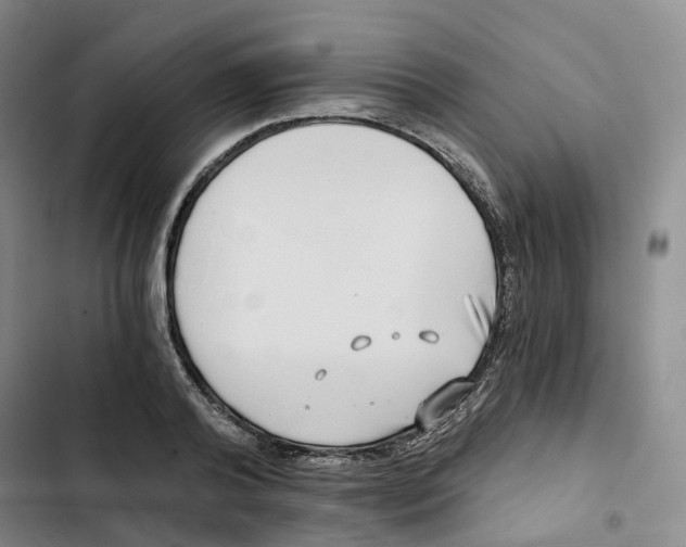 X0000102820792200809151014