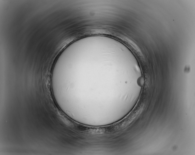 X0000102820793200809151014
