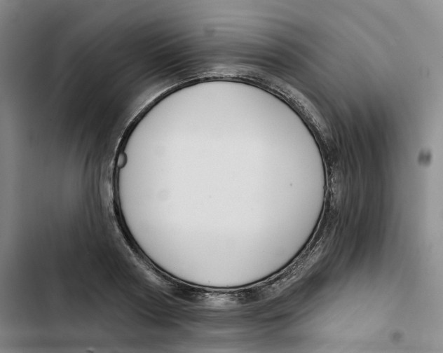 X0000102820794200809151014