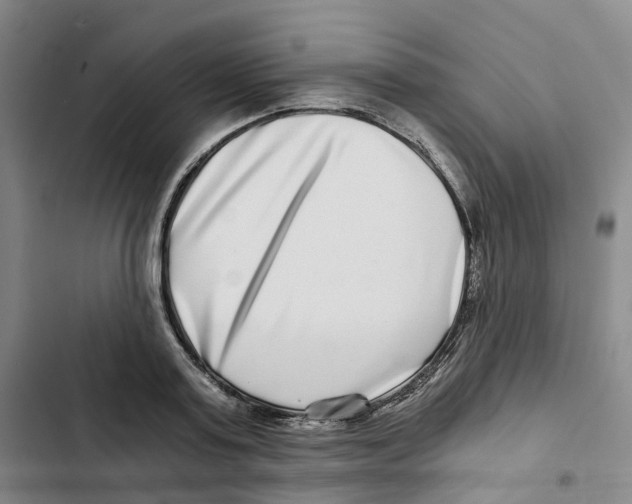 X0000102820795200809151014