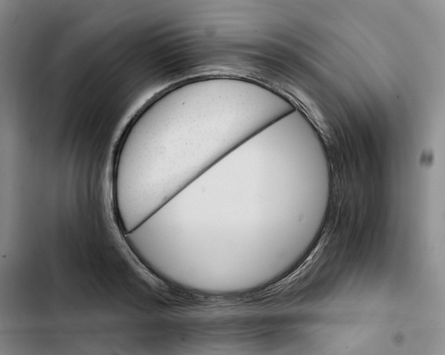X0000102820796200809151014