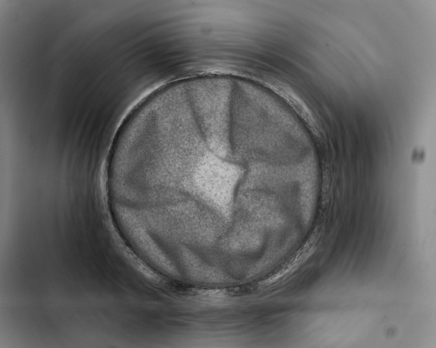 X0000102820798200809151014