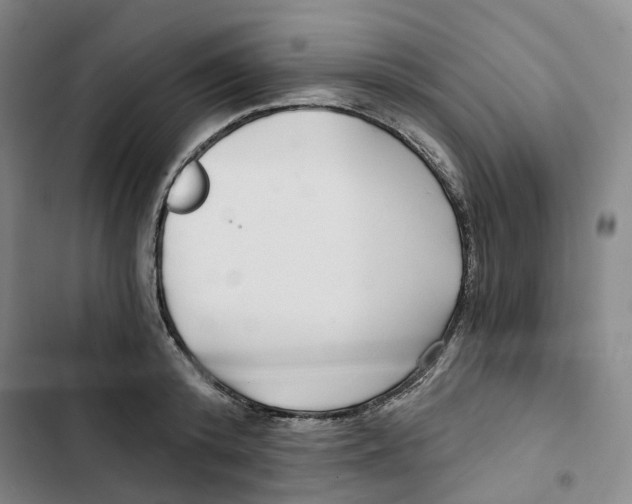 X0000102820800200809151014