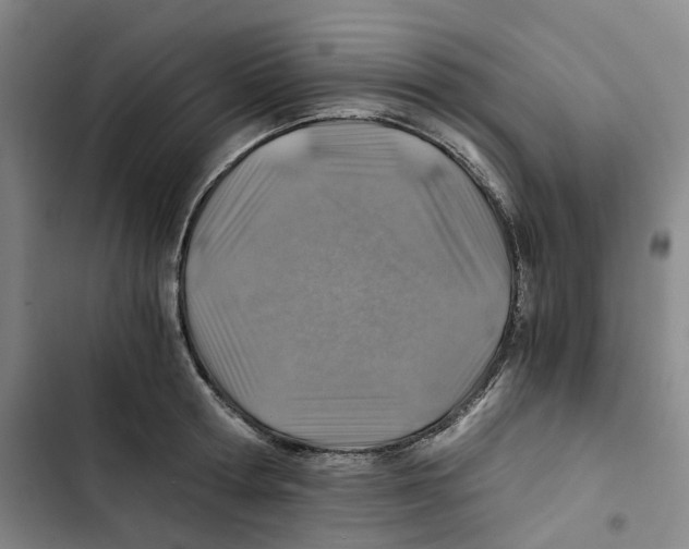 X0000102820802200809151014