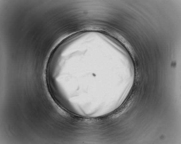 X0000102820803200809151014