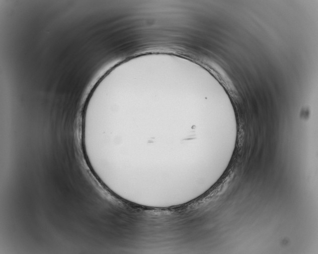 X0000102820804200809151014