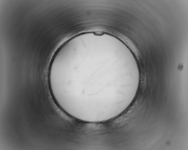 X0000102820805200809151014