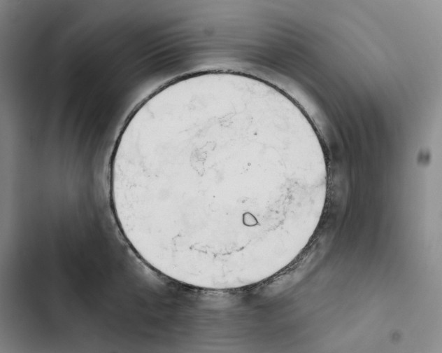 X0000102820807200809151014