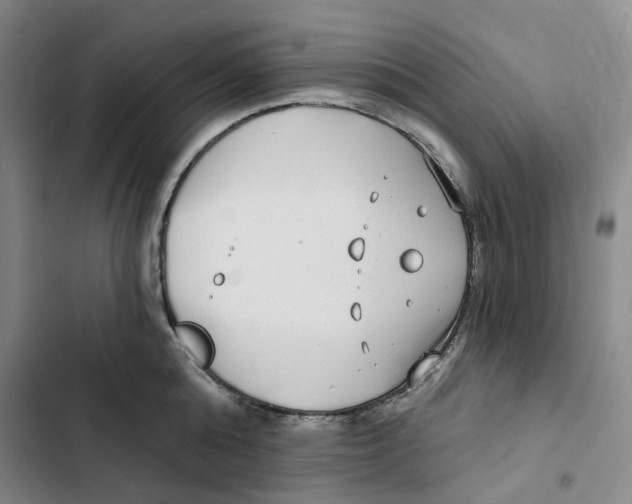 X0000102820808200809151014
