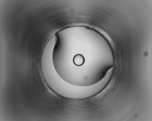 X0000102820809200809151014