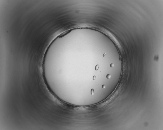 X0000102820810200809151014