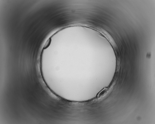 X0000102820812200809151014