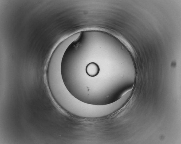 X0000102820813200809151014